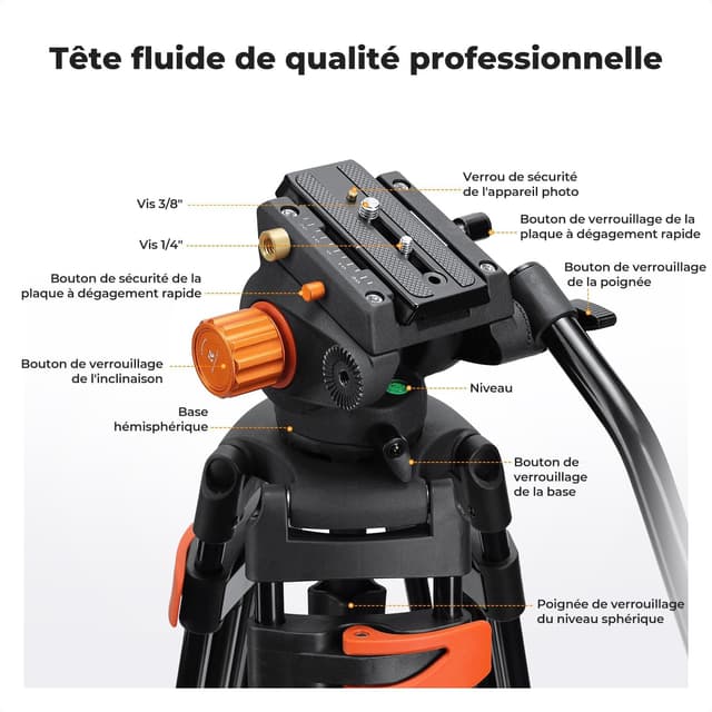 Detalle 2 de K&F CONCEPT Trépied Vidéo 202 cm avec tête fluide et charge max 8 kg