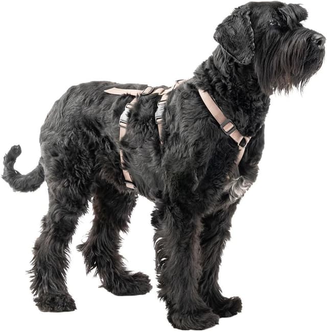 Detalle de Ferplast Brave Large Arnes para Perros Grandes 🐕