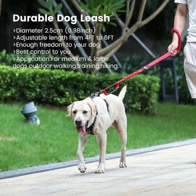 Thumbnail 6 de IOKHEIRA Red Zinc Alloy Dog Lead