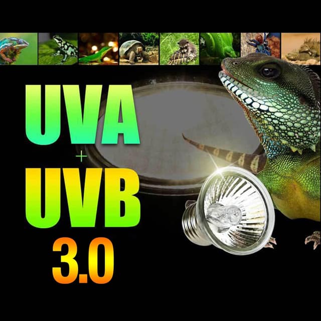 Thumbnail 4 de PewinGo 50W UVA UVB heat lamp for reptiles
