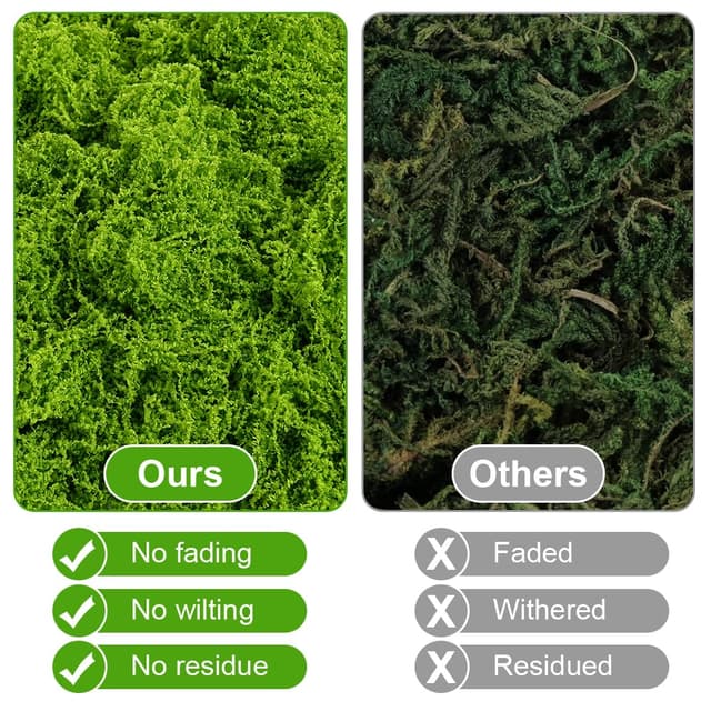 Thumbnail 3 de OFFCUP 50g Muschio stabilizzato decorativo