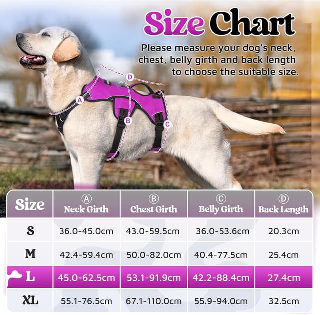 Detalle 2 de rabbitgoo Escape-Proof Dog Harness (Large, Purple) with Lift Handle and Reflective Trim