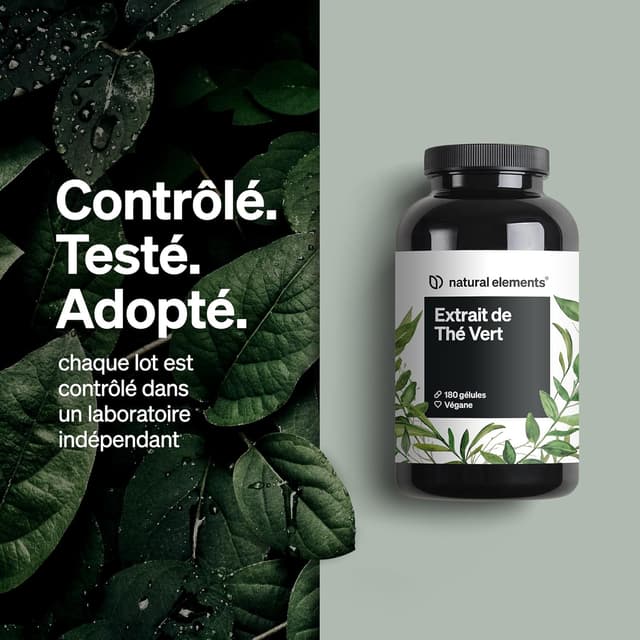 Detalle de Extrait de thé vert hautement dosé – 180 gélules (1998 mg par dose journalière), riche en EGCG et polyphénols