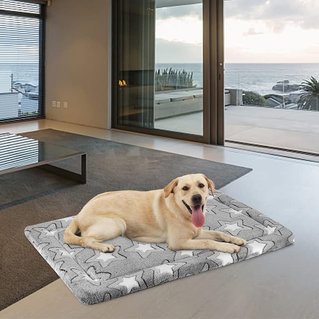 Detalle de EMPSIGN Cuscino per cani taglia grande XL reversibile lavabile in schiuma ad alta densità (grigio) 107 × 71 × 2,8 cm