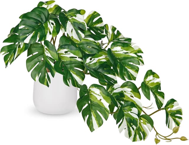 Detalle de Hollyone Künstliche Monstera im Topf 25 cm