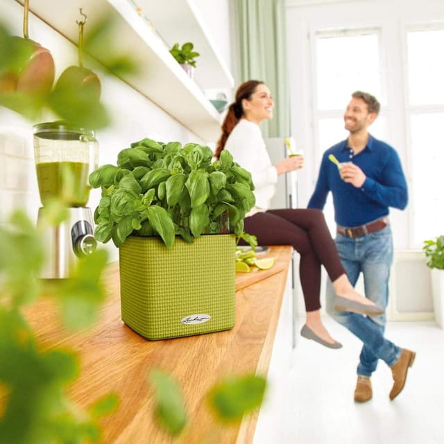 Thumbnail 1 de LECHUZA Cube Color 16 marrone sabbia