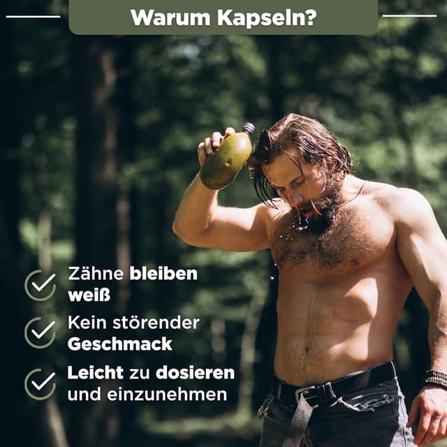 Detalle de BLATTWERK Himalaya Shilajit 1300 mg Tagesdosis