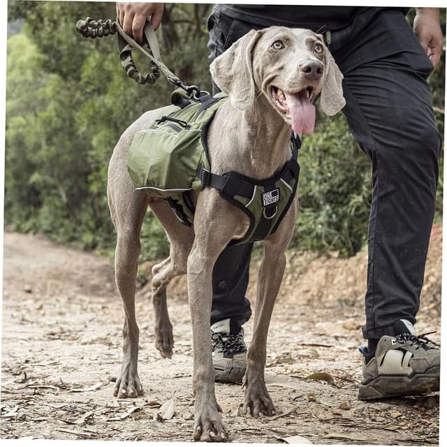 Detalle de OneTigris CAMELUS Hunderucksack für M/L Hunde (Ranger Grün) – 420D-Nylon mit YKK-Reißverschlüssen
