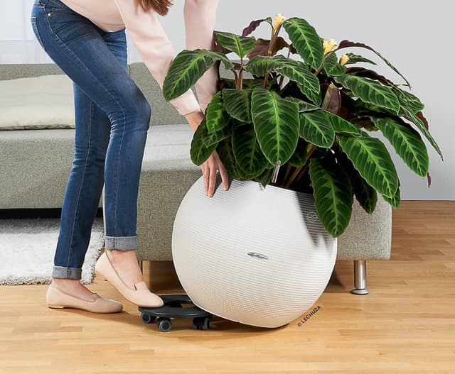 Detalle 2 de LECHUZA Base avvolgibile CLASSICO 43