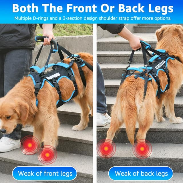 Thumbnail 1 de Lafoty Arnés de Levantamiento Grande para perros 🐕