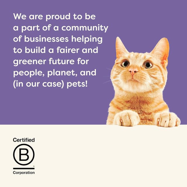 Thumbnail 6 de Applaws 12x70g comida húmeda para gatos 🐟