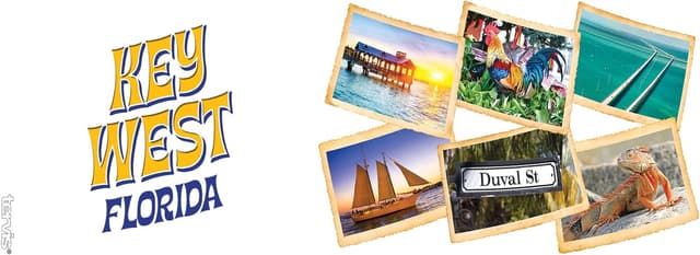 Detalle de Tervis Florida Key West Collage 16oz Tumbler Mug with Wrap and Yellow Lid (Clear)