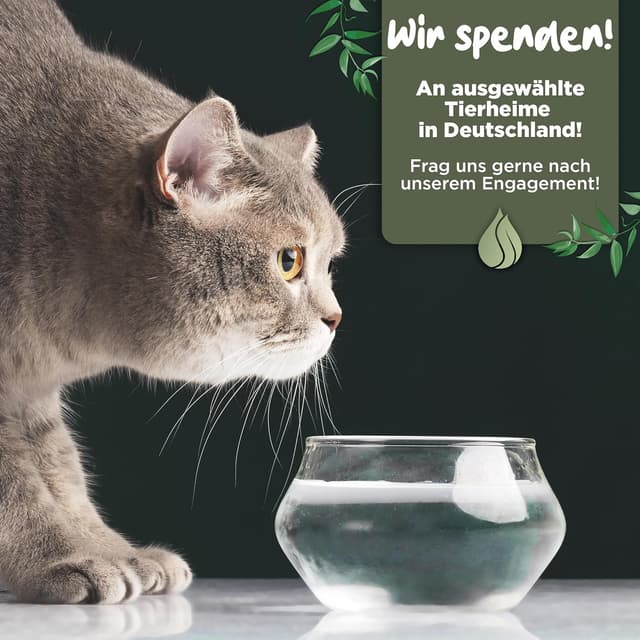 Detalle 2 de BLATTWERK Himalaya Shilajit 1300 mg Tagesdosis