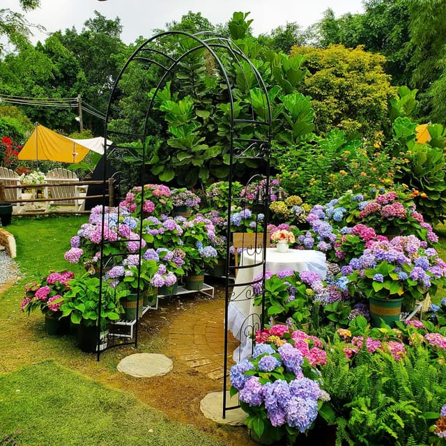 Thumbnail 6 de SCENDOR Rose Arch Arbour 87" Iron Garden Arch