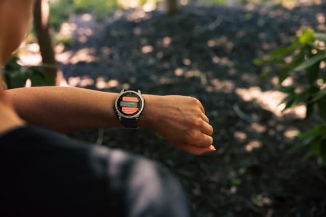 Thumbnail 4 de Garmin Fenix E Grau 47 mm