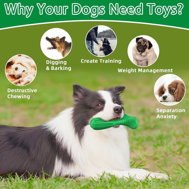 Detalle de HETOO Dog Chew Toys Natural Rubber Grinding Rod with Toothbrush-Style Bristles