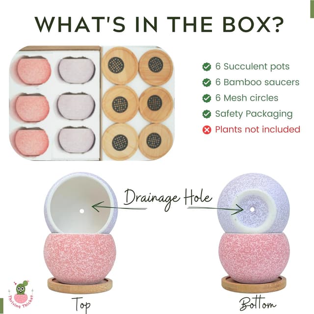 Thumbnail 3 de Thriving Thicket 3" Ceramic Succulent Pots, 6-Pack 🌱