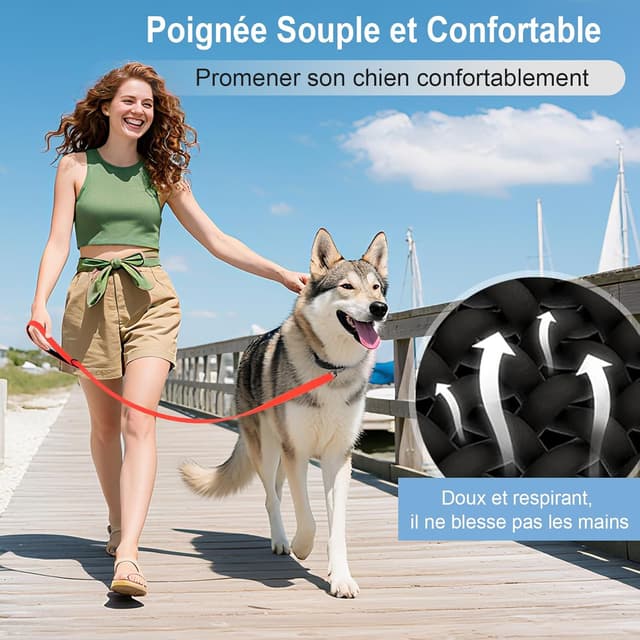 Detalle 2 de Longe pour Chien étanche (1,8 m à 30 m) – Laisse de dressage avec poignée confortable