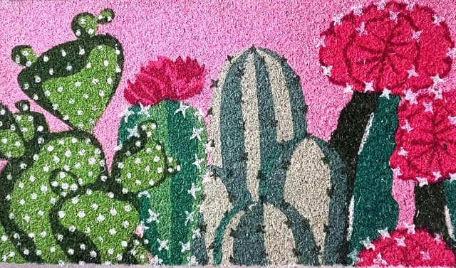 Imagen de Baroni Home Zerbino Cocco 70x40 cm 🌵 en OfertitasTOP