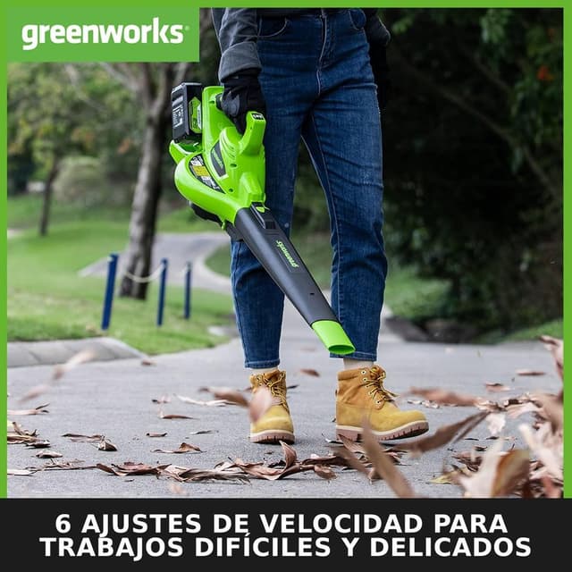 Thumbnail 4 de Greenworks GD24X2BV Soplador Aspirador 48V sin baterías
