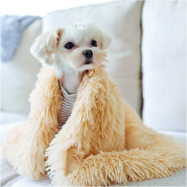 Detalle de CHMMY couverture en peluche double face pour chien et chat, lavable – Beige (taille S 56×36 cm)