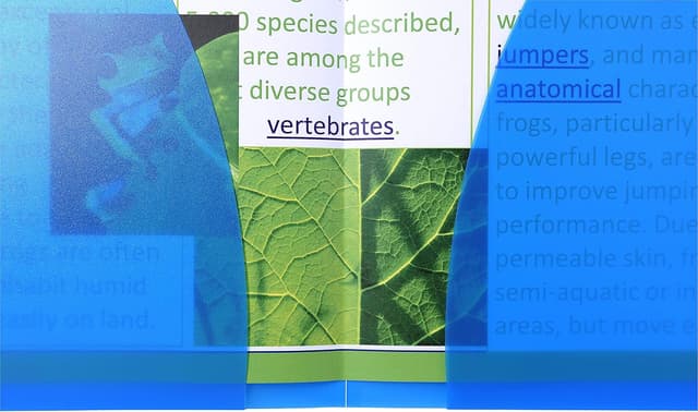 Thumbnail 4 de Exacompta 3967E Cartellina presentazioni A4 trasparente