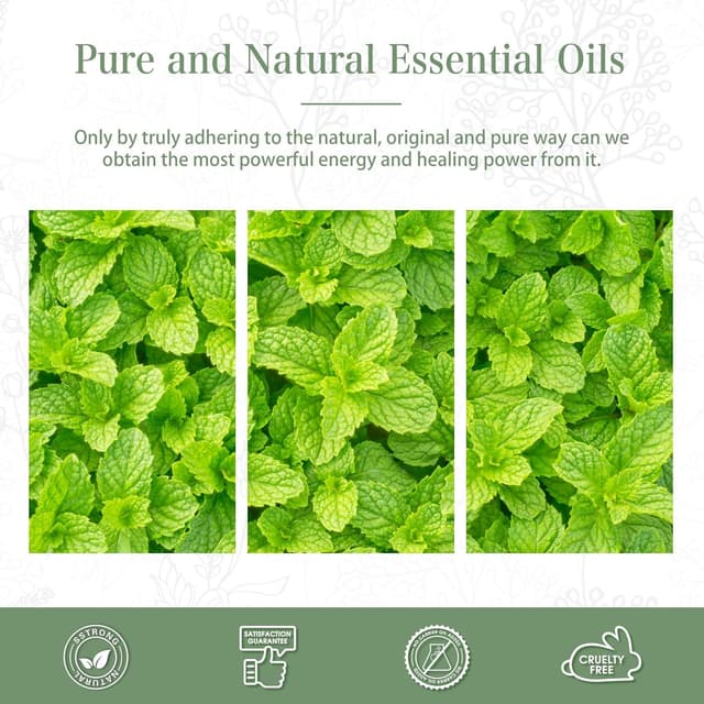 Detalle de PHATOIL Peppermint Essential Oil 100ml – natural & pure premium peppermint oil for aromatherapy, hair, skin and DIY