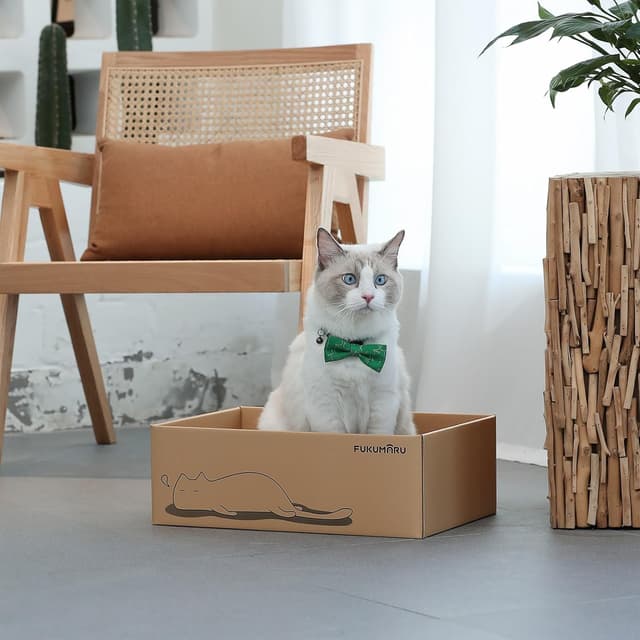 Thumbnail 4 de FUKUMARU Kratzbrett 43,5×29,5×14 cm 🐱