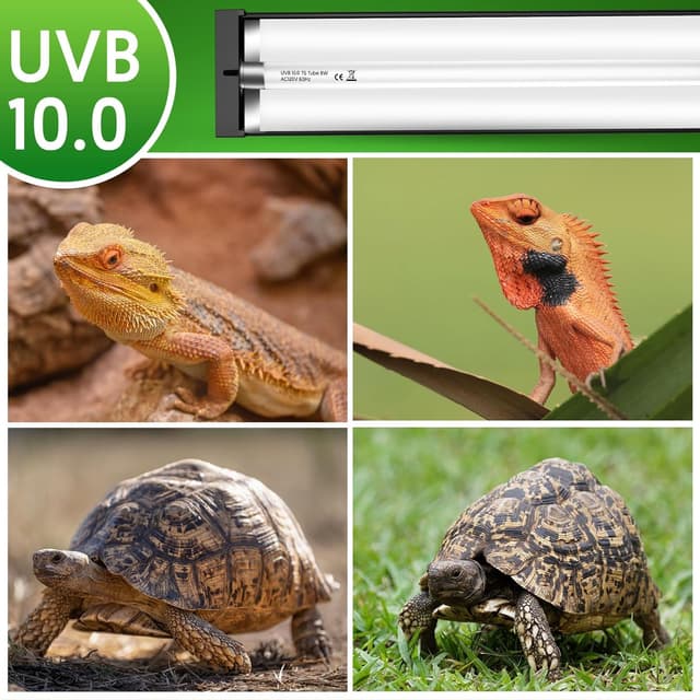 Thumbnail 6 de QZQ T5 UVB Reptile Light Fixture 8W 10.0 UVB