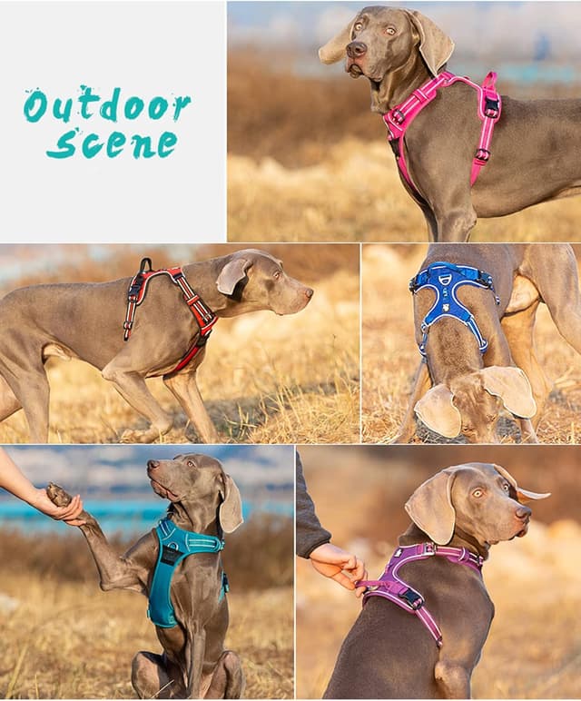 Detalle de Dog Harness No Pull Adjustable Reflective Step-in Soft Nylon (TLH56512(L))