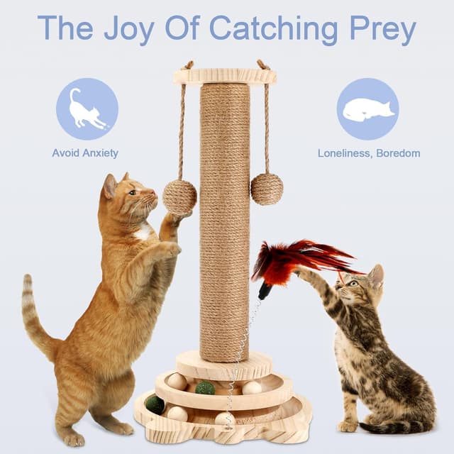 Thumbnail 5 de Collazoey Giocattolo interattivo 4 in 1 per gatti