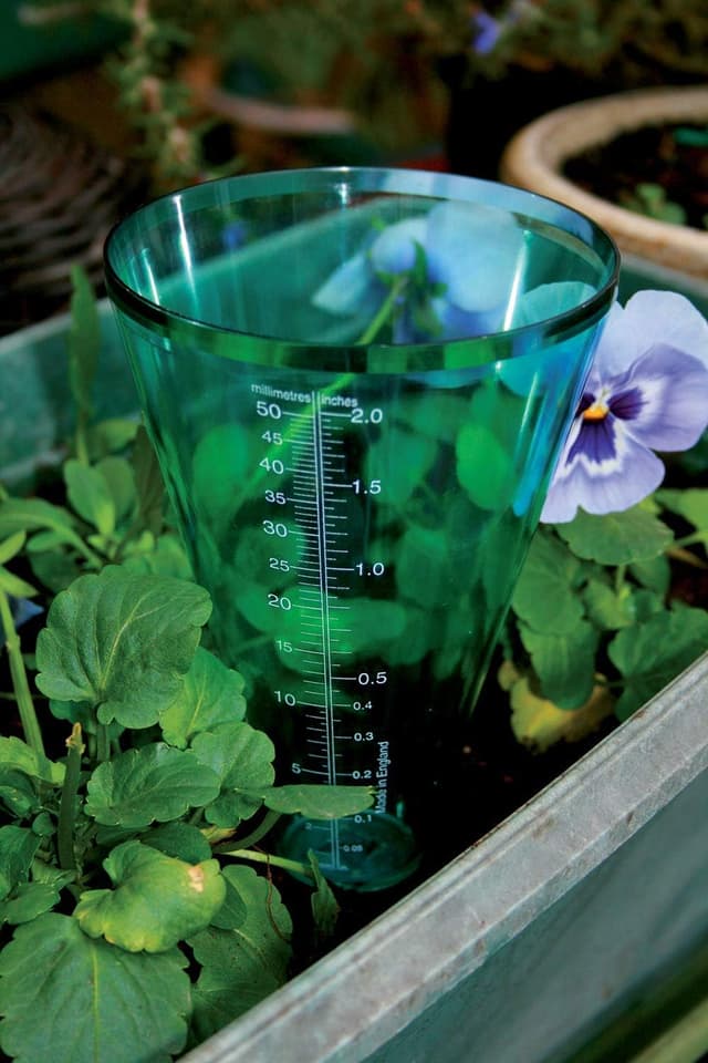 Detalle 2 de Bosmere Tildenet Rain Gauge (T22) – mm and inch rainfall measurement