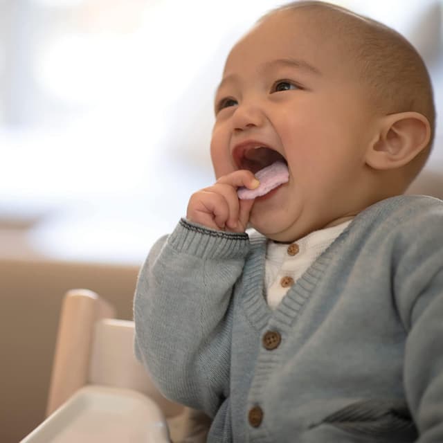 Thumbnail 5 de Kiddylicious Wafers de Fresa 🍓 para Bebés desde 6 meses, 12 pack