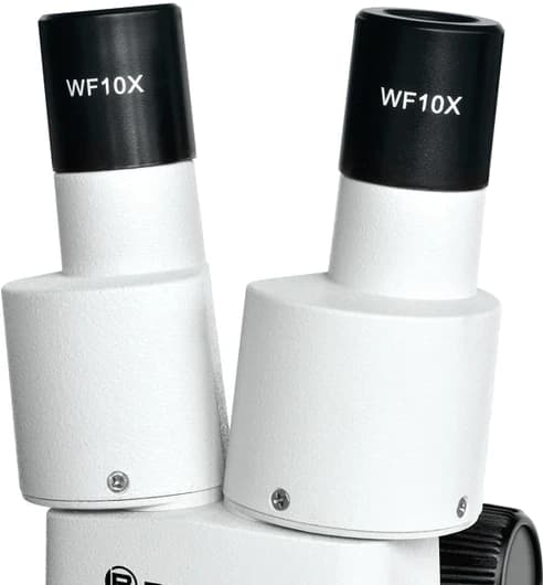 Thumbnail 3 de Bresser Junior Stereo Mikroskop 20x