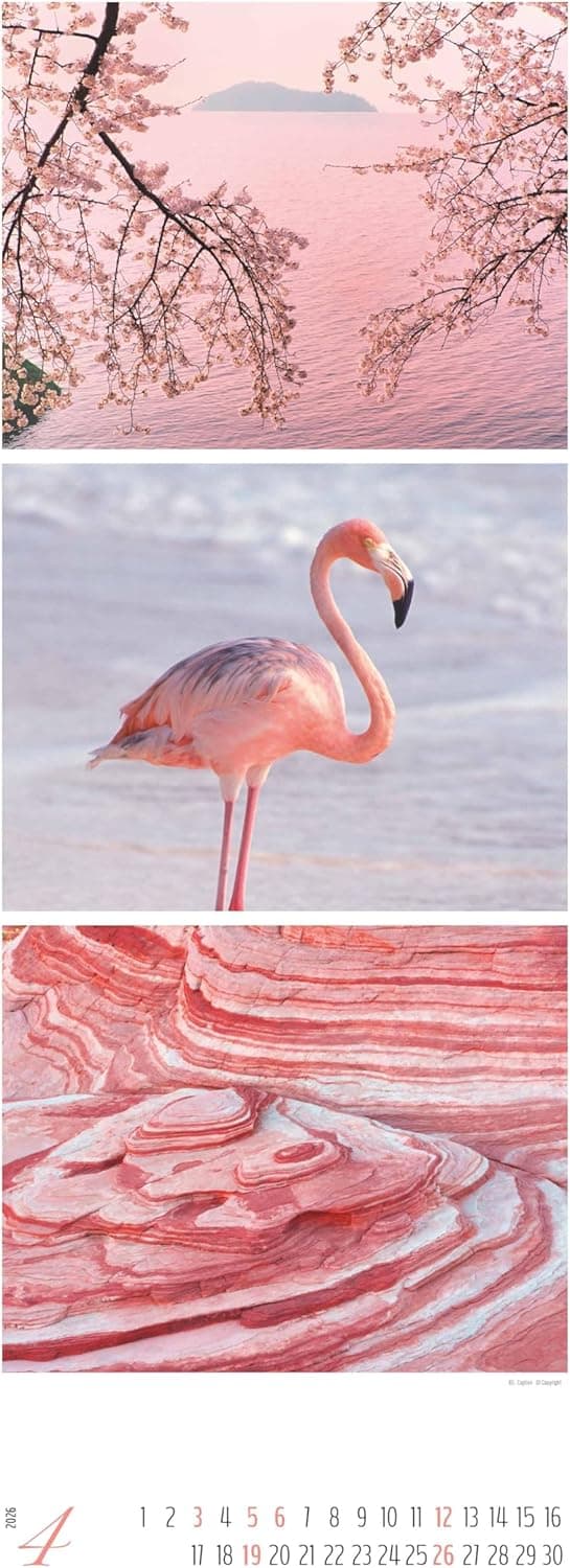 Detalle de Alpha Edition Colours of Nature – Triplets Kalender 2026 (Wandkalender XXL 25×69 cm)