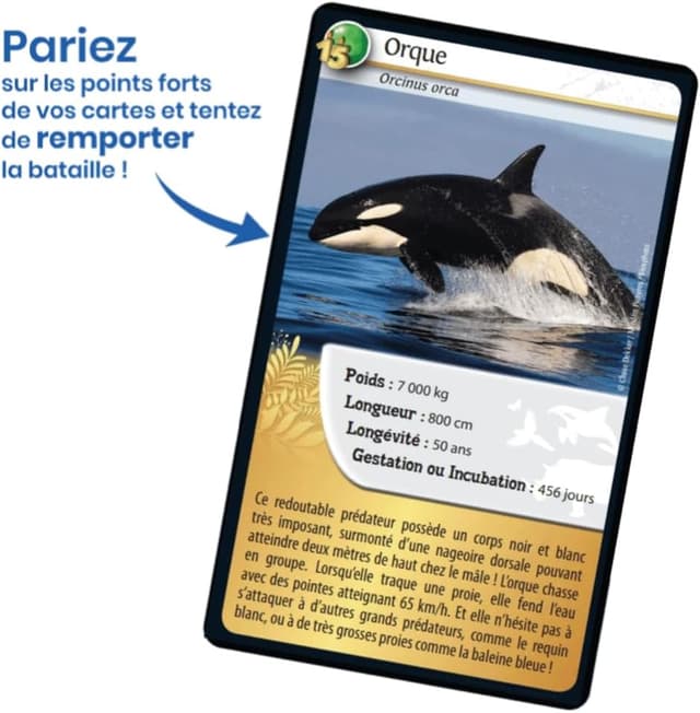 Thumbnail 3 de Bioviva DEFIS Nature Edición especial Animales Oscuro y Dorado