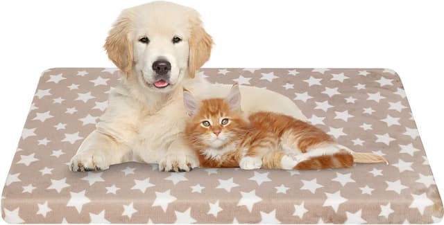 Detalle de EMPSIGN Cuscino Cani Taglia Piccolo 61x46x6,6 cm