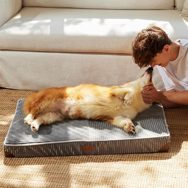 Thumbnail 6 de FUKUMARU Orthopädisches Hundebett (91x56x9 cm) – waschbares Hundekissen mit wasserdichter TPU-Schicht, grau