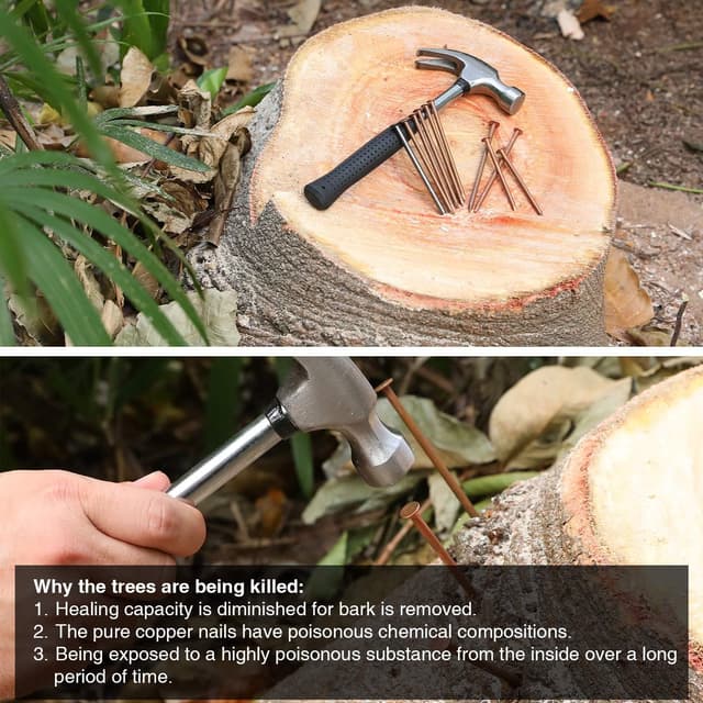 Detalle 1 de Frienda 20 chiodi in rame e acciaio da 8,9 cm per rimozione ceppi e tronchi (con scatola portaoggetti)