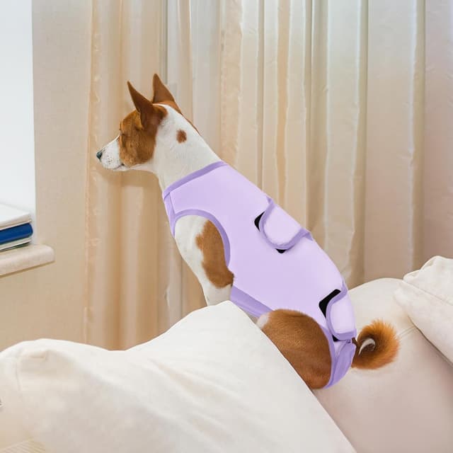 Thumbnail 6 de ASENKU body post operatorio per cane femmina con colletto alternativo dopo l’intervento