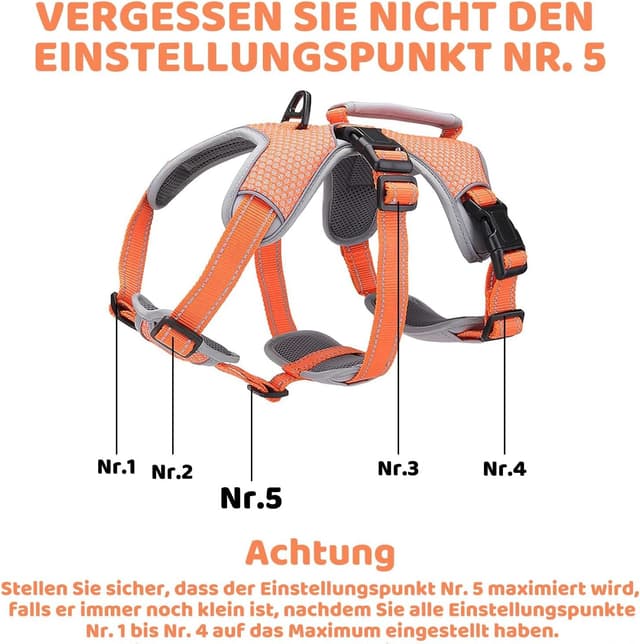 Detalle 2 de BELPRO Mehrzweck-Hundegeschirr XL für große Hunde