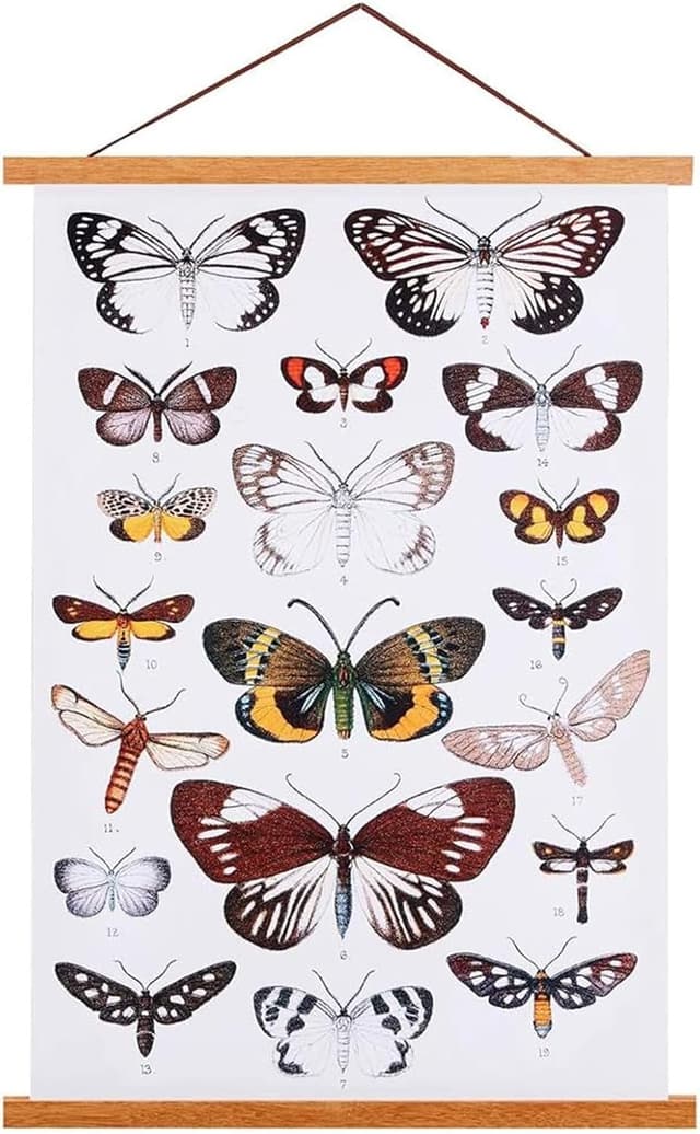 Detalle de Ywlake A3 Posterleiste 30,5 cm Teak