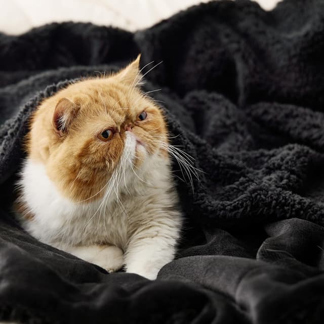 Detalle de Bedsure Kuscheldecke 130 x 150 cm schwarz