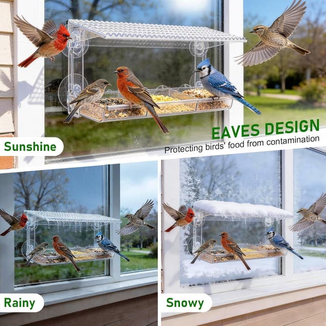 Detalle 2 de SUPERFA Clear Window Bird Feeder with 4 Suction Cups