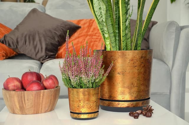 Thumbnail 3 de KERD Set Blumentöpfe 18 cm Rost