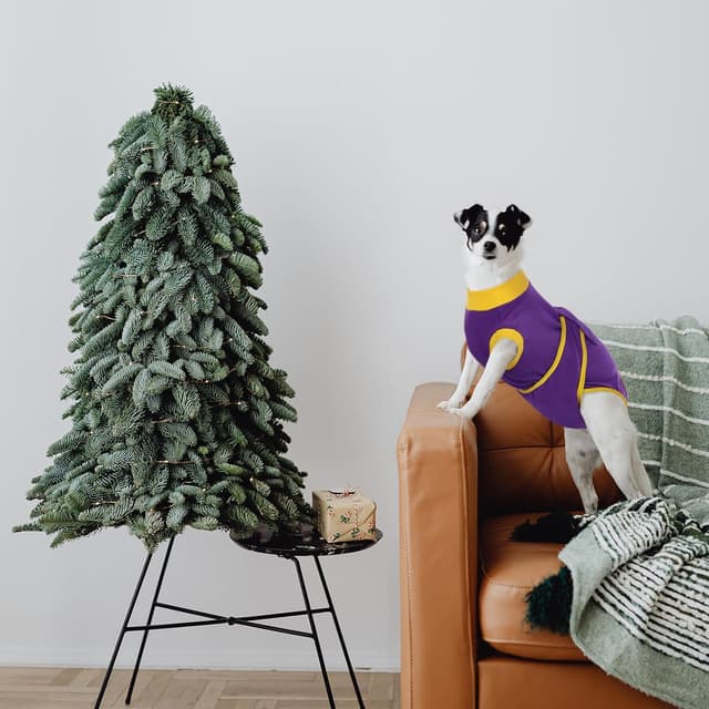 Detalle de Kuoser Hundebody nach OP (Leckschutz) für Rüde & Hündin – atmungsaktiv, waschbar, Lila S