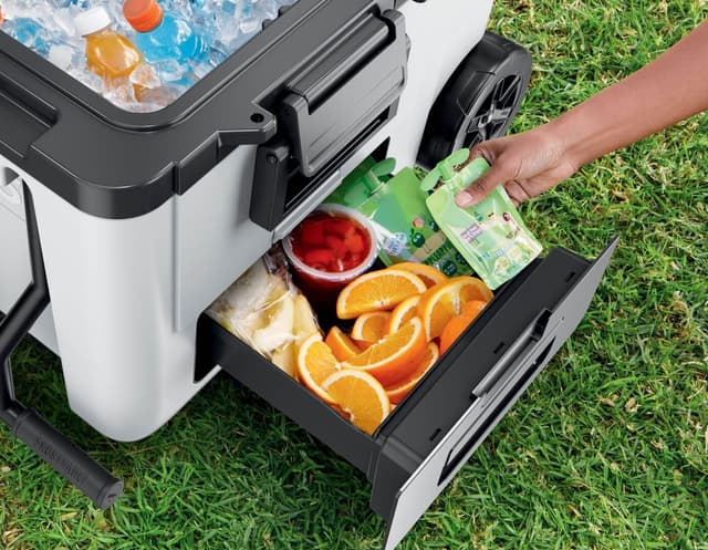 Detalle de Ninja FrostVault FB245EUWH glacière isotherme 42 L avec roues et Dry Zone (blanc nuage)