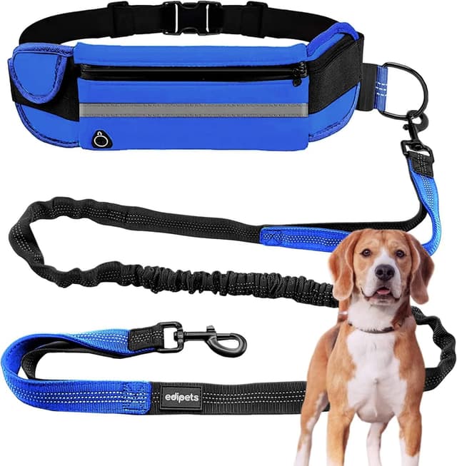 Detalle de Edipets Joggingleine für Hunde freihändig (Laufen & Wandern) mit Gurtband, reflektierend, 160–220 cm – Blau