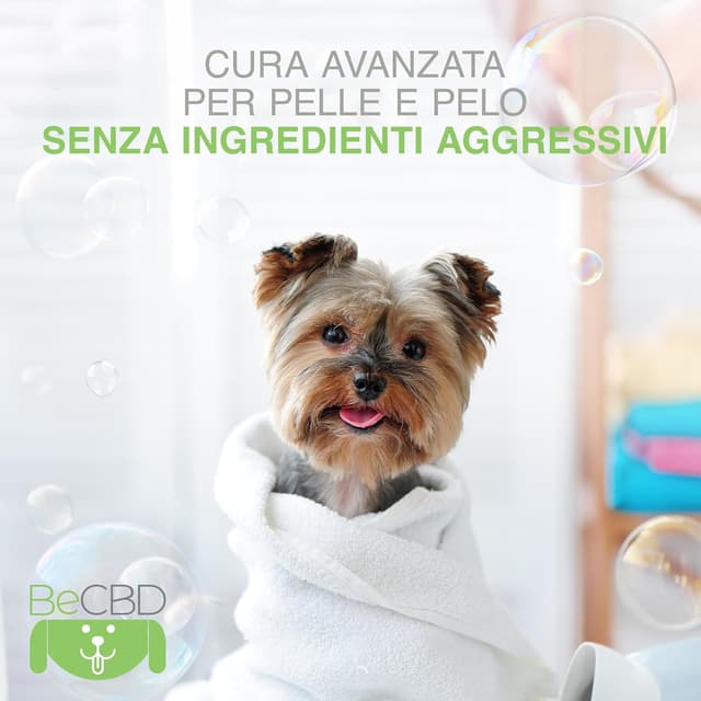 Thumbnail 4 de BeCBD Shampoo naturale per cani 250 ml
