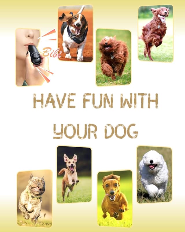 Thumbnail 4 de TODREMOU Hundepfeife Rütter Rückruf 1️⃣